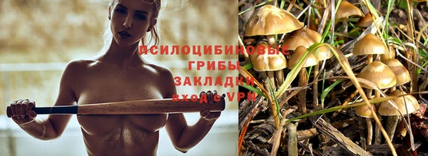 круглые Алзамай