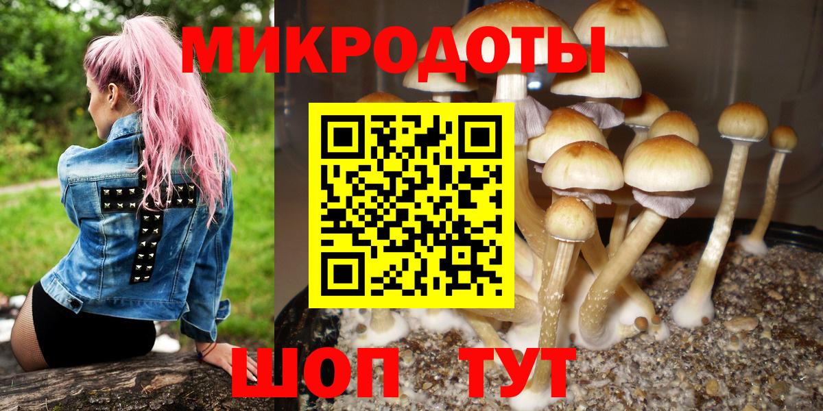 Псилоцибиновые грибы мицелий Благодарный