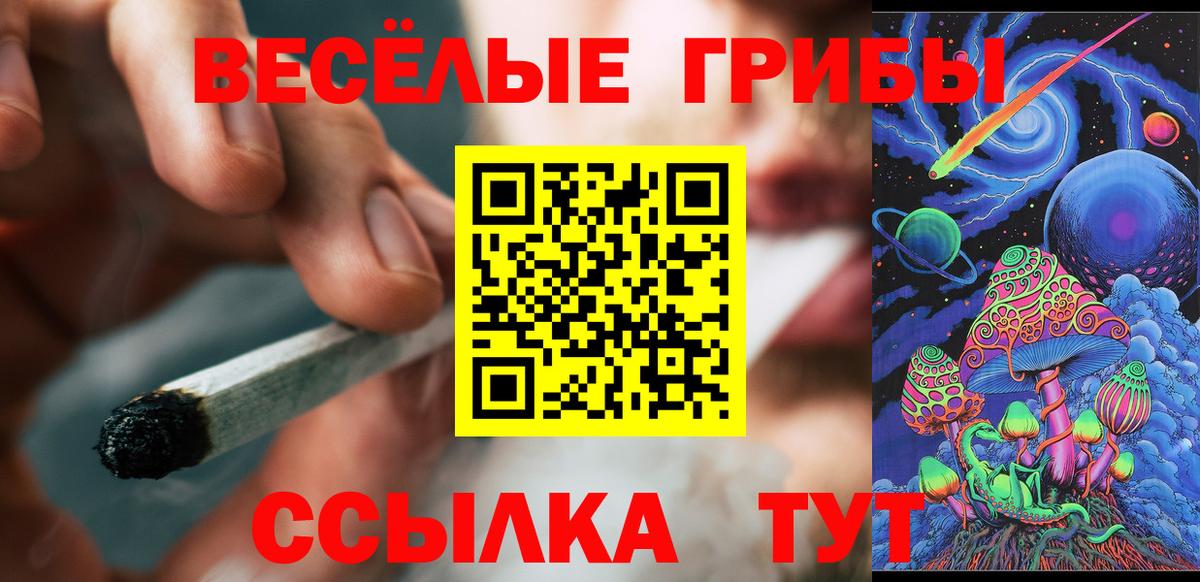 Псилоцибиновые грибы MAGIC MUSHROOMS  Вход с VPN  Благодарный 